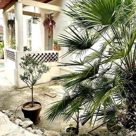 Ξενοδοχείο Belle Maison De Avec Piscine Αντίμπ